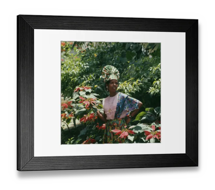 Framed Print : Girl In Traditional Dress Framed Print : Girl In Traditional Dress