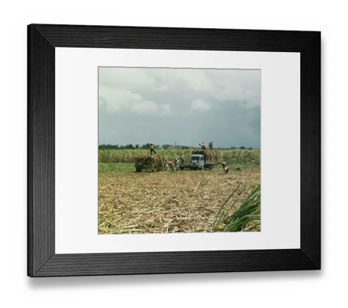 Framed Print : Basse-Terre, Guadeloupe Framed Print : Basse-Terre, Guadeloupe