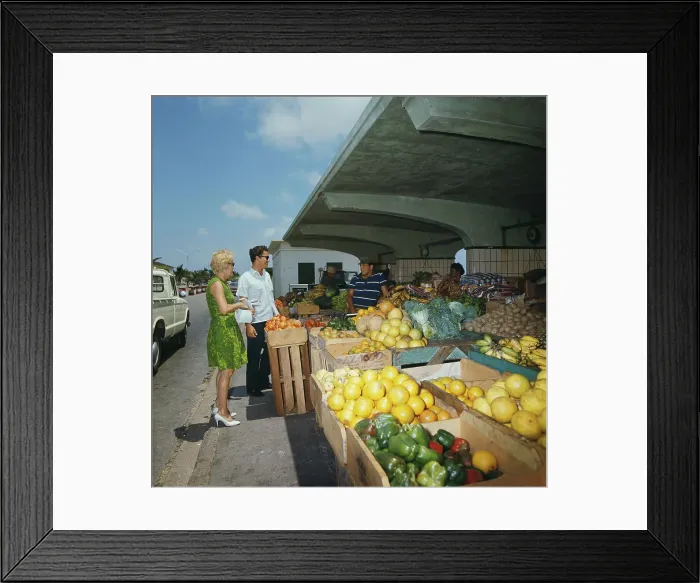 Framed Print : Aruba, Netherlands Antilles Framed Print : Aruba, Netherlands Antilles