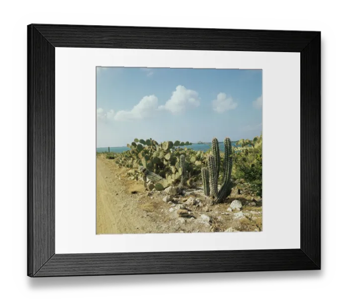 Framed Print : Aruba, Netherlands Antilles Framed Print : Aruba, Netherlands Antilles