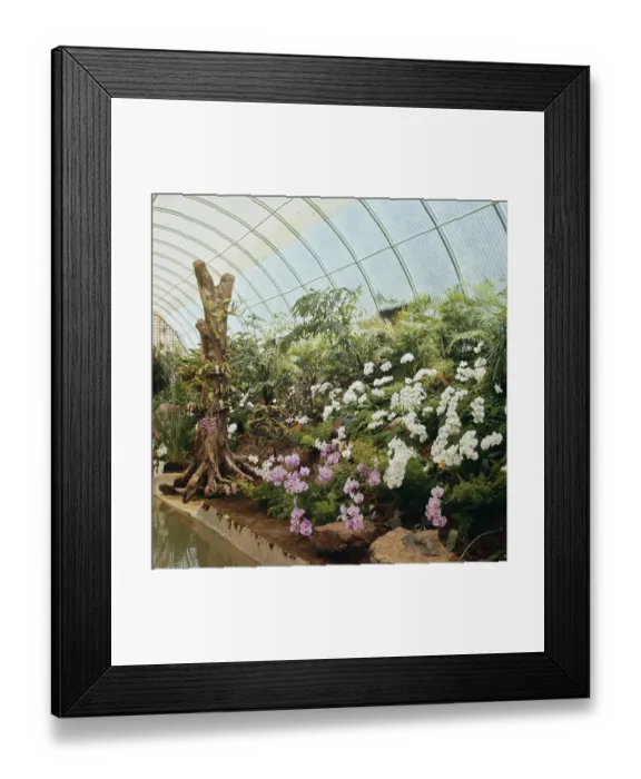 Framed Print : Charlotte Amalie, Virgin Islands Framed Print : Charlotte Amalie, Virgin Islands