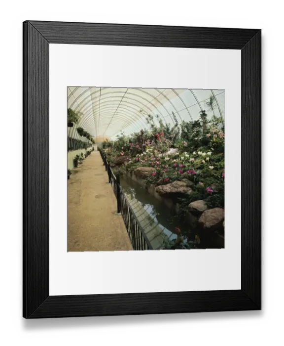 Framed Print : Charlotte Amalie, Virgin Islands Framed Print : Charlotte Amalie, Virgin Islands