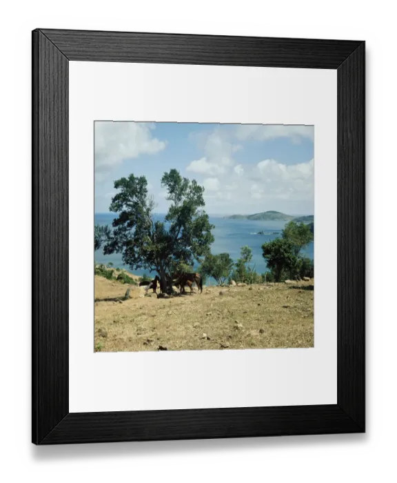Framed Print : St Thomas, Virgin Islands Framed Print : St Thomas, Virgin Islands