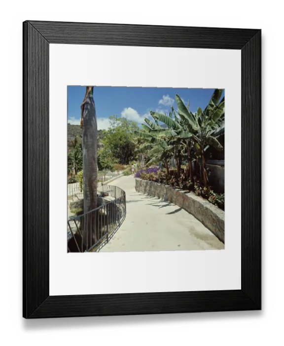 Framed Print : Charlotte Amalie, Virgin Islands Framed Print : Charlotte Amalie, Virgin Islands