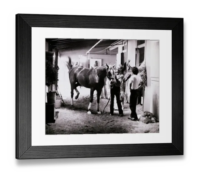 Framed Print : Affirmed Being Brought from His Stall Framed Print : Affirmed Being Brought from His Stall