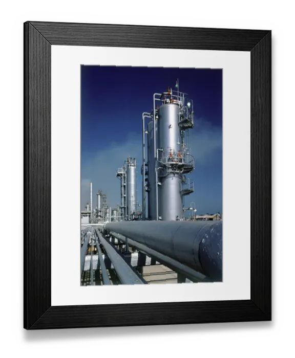 Framed Print : Merox Plant Framed Print : Merox Plant