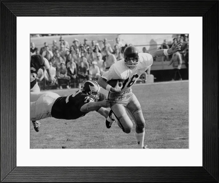 Framed Print : Sandy Durko Framed Print : Sandy Durko