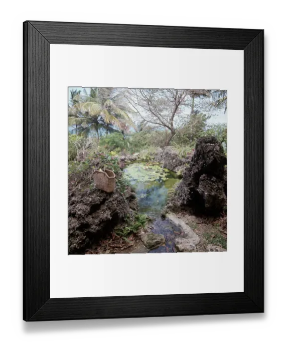 Framed Print : Andromeda Gardens Pond Framed Print : Andromeda Gardens Pond