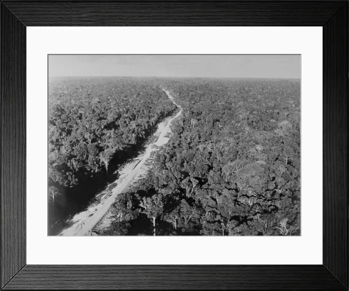 Framed Print : Trans Amazon Highway Framed Print : Trans Amazon Highway