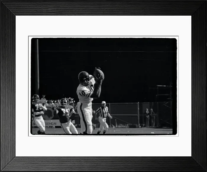 Framed Print : Gale Sayers Catches Football on the Run Framed Print : Gale Sayers Catches Football on the Run