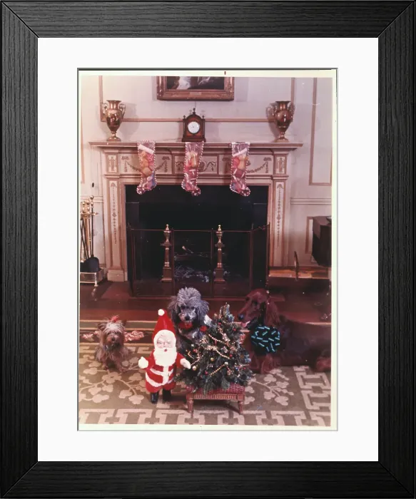 Framed Print : White House Dogs with Christmas Decorations Framed Print : White House Dogs with Christmas Decorations