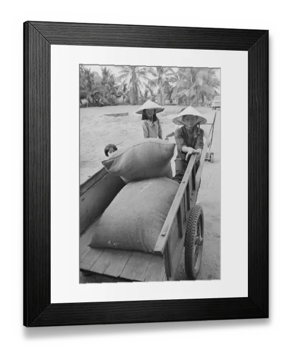 Framed Print : Bags of Rice on Carts Framed Print : Bags of Rice on Carts