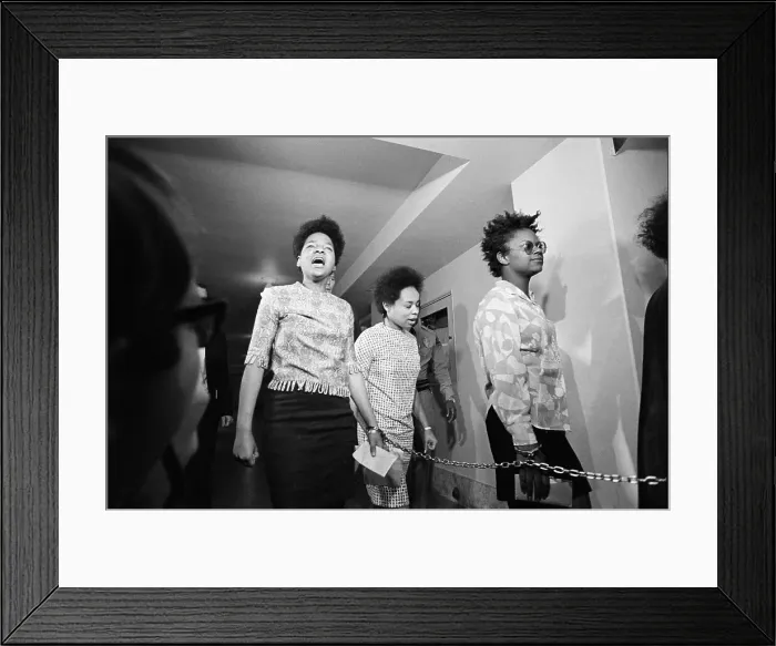 Framed Print : Three Black Panthers Handcuffed Framed Print : Three Black Panthers Handcuffed