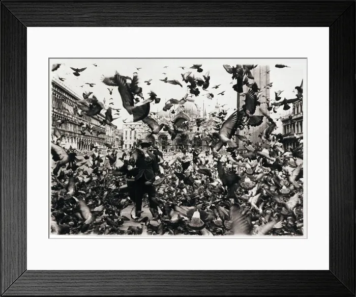 Framed Print : Pigeons Swarm St. Mark's Square Framed Print : Pigeons Swarm St. Mark's Square