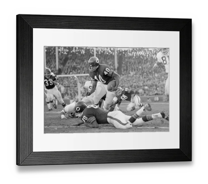 Framed Print : Bears Gayle Sayers Rushing During A Game Framed Print : Bears Gayle Sayers Rushing During A Game