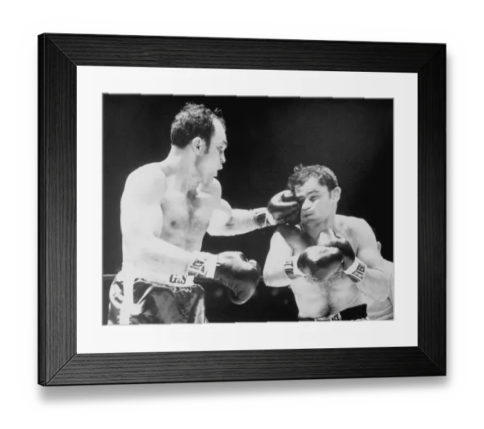 Framed Print : Boxer Carlos Ortiz Punching Edmundo Leite in Face Framed Print : Boxer Carlos Ortiz Punching Edmundo Leite in Face