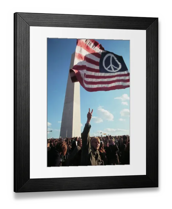 Framed Print : Demonstration at Washington Monument