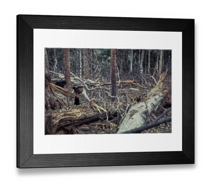 Framed Print : Cambodian Border Patrol, Vietnam War Framed Print : Cambodian Border Patrol, Vietnam War