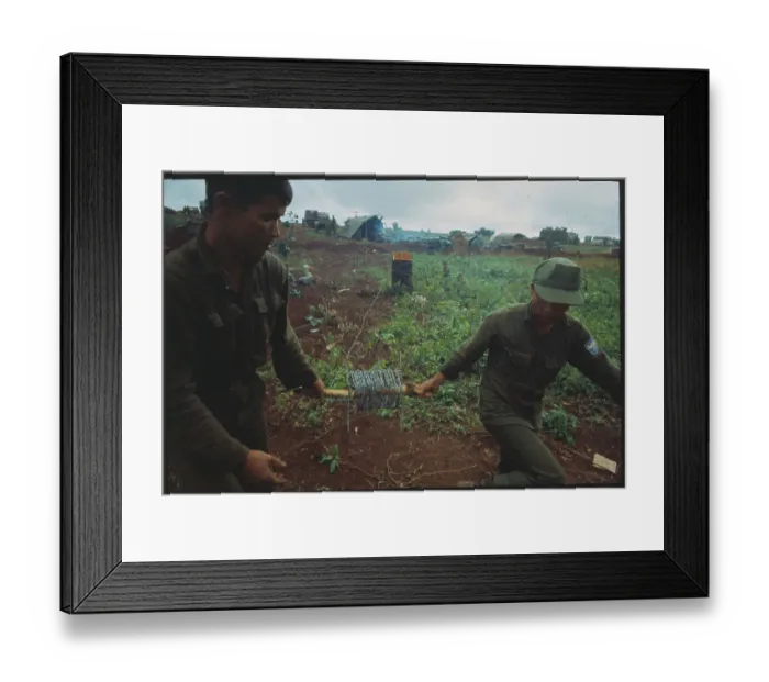 Framed Print : Troops Stringing Wire at Camp Framed Print : Troops Stringing Wire at Camp