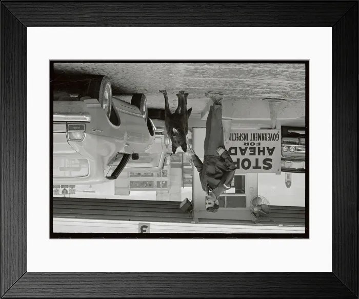 Framed Print : Man with Narcotics Dog Framed Print : Man with Narcotics Dog