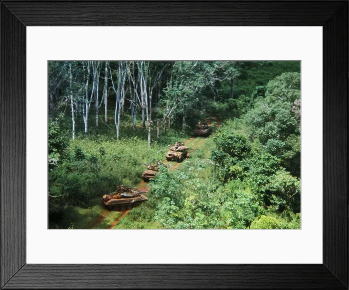 Framed Print : Cavalry Troops Entering Saigon