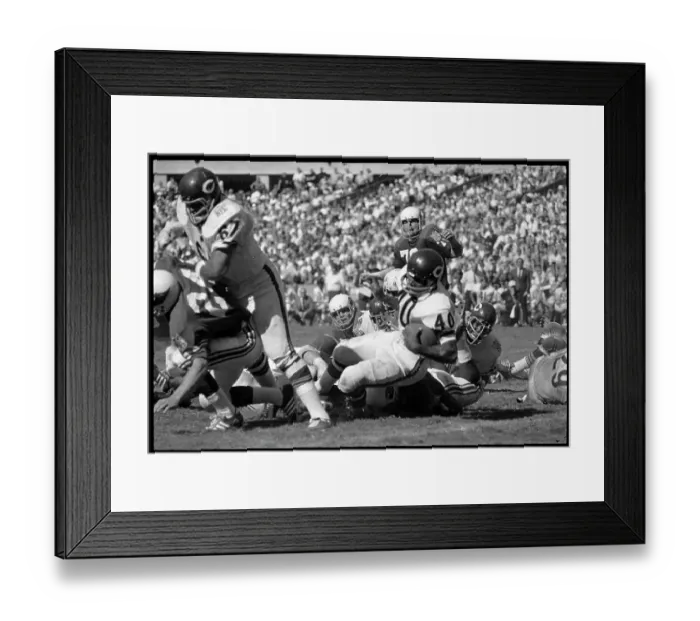 Framed Print : Gale Sayers is Taken Down by the St. Louis Defense Framed Print : Gale Sayers is Taken Down by the St. Louis Defense