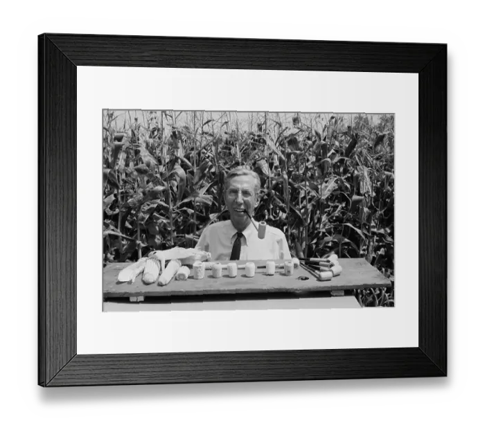 Framed Print : Display of Missouri Meerschaum Corncob Pipes Framed Print : Display of Missouri Meerschaum Corncob Pipes