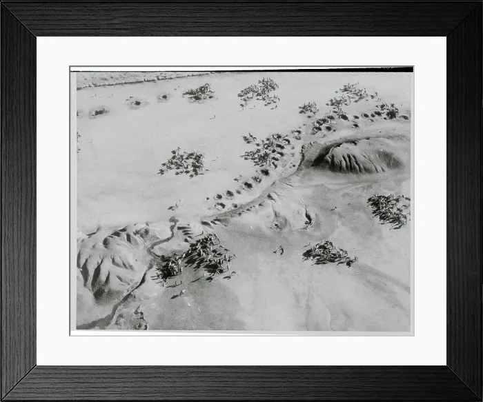 Framed Print : Aerial View of Grazing Area for Animals Framed Print : Aerial View of Grazing Area for Animals