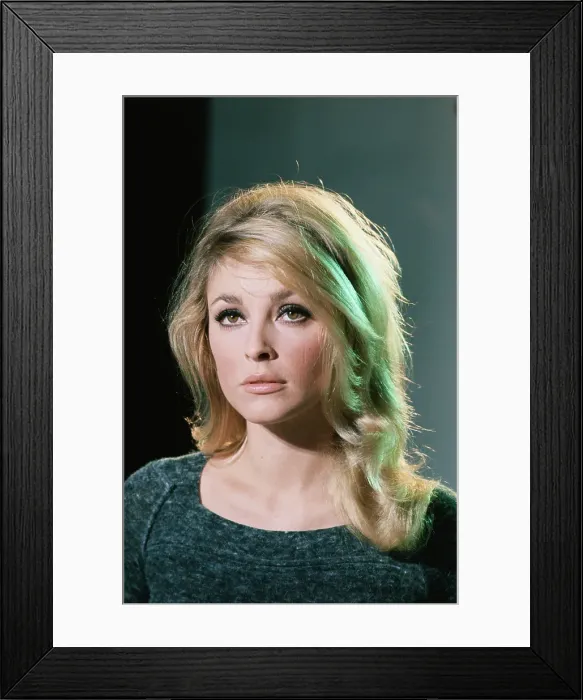 Framed Print : Portrait of Sharon Tate Framed Print : Portrait of Sharon Tate