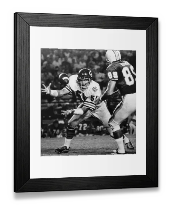 Framed Print : Dick Butkus Intercepting a Pass Framed Print : Dick Butkus Intercepting a Pass
