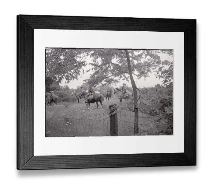 Framed Print : Mounted Police Search Clearing for Clues Framed Print : Mounted Police Search Clearing for Clues
