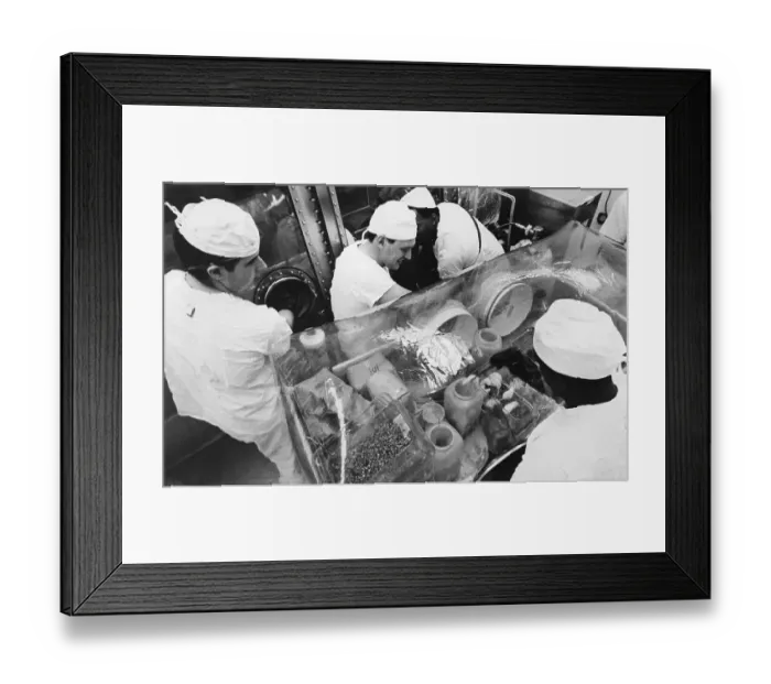 Framed Print : Techicians Work With Mice Framed Print : Techicians Work With Mice