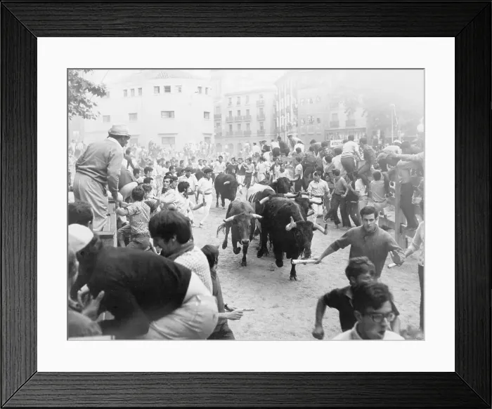 Framed Print : Crowd Dodging Bulls in Pamplona Framed Print : Crowd Dodging Bulls in Pamplona
