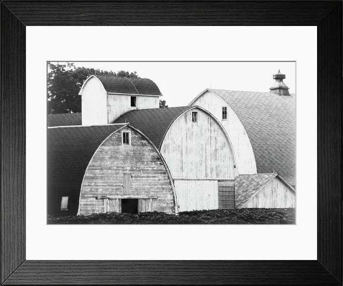 Framed Print : Illinois Barns with Rounded Roofs Framed Print : Illinois Barns with Rounded Roofs