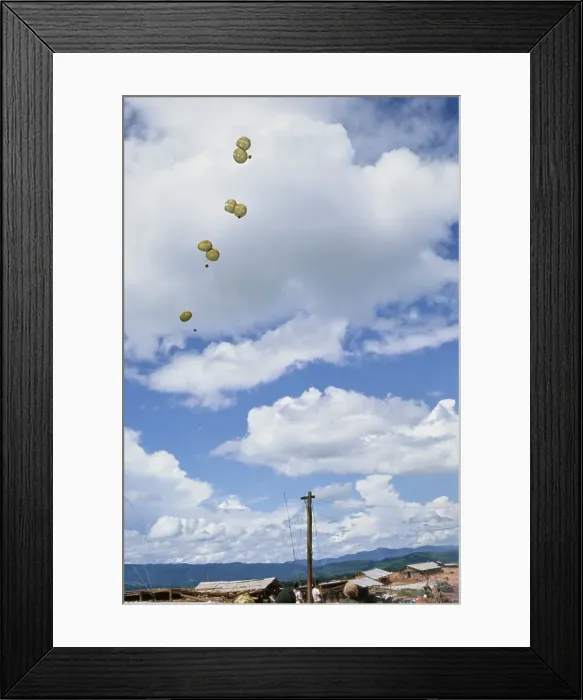 Framed Print : Green Berets, Vietnam War Framed Print : Green Berets, Vietnam War