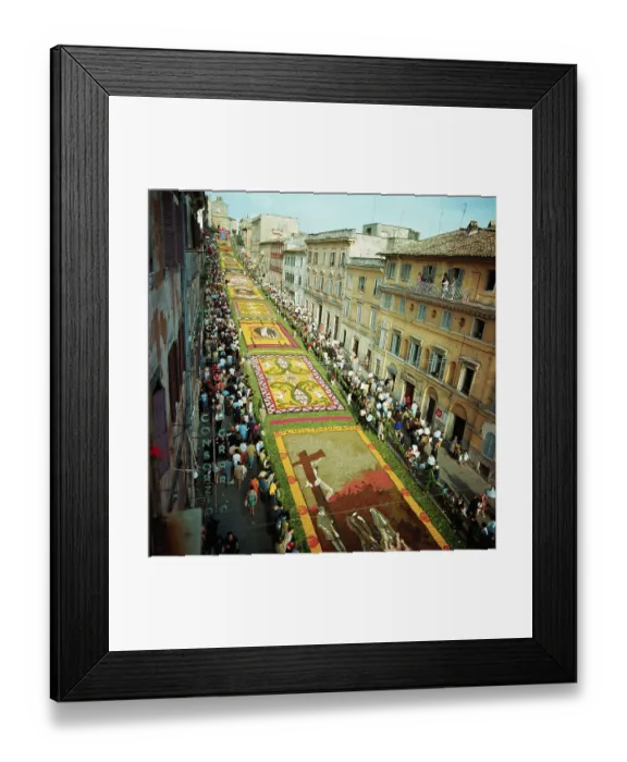 Framed Print : Flower Mosaic in the Infiorata Festival Framed Print : Flower Mosaic in the Infiorata Festival
