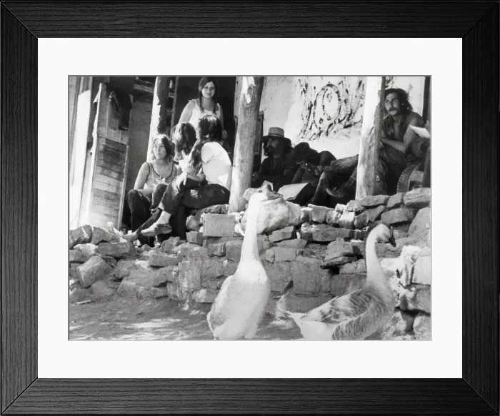 Framed Print : Residents and Geese Outside Hippie Commune Framed Print : Residents and Geese Outside Hippie Commune