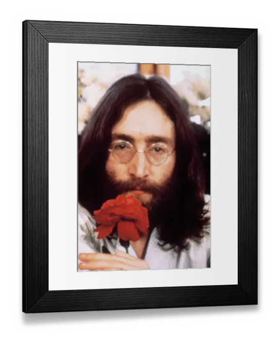 Framed Print : Musician John Lennon With Rose Framed Print : Musician John Lennon With Rose