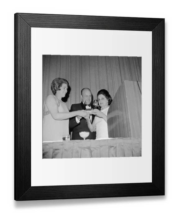 Framed Print : Journalist Posing at Achievement Awards Event Framed Print : Journalist Posing at Achievement Awards Event