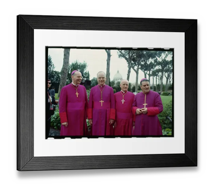 Framed Print : American Cardinal Designates Framed Print : American Cardinal Designates