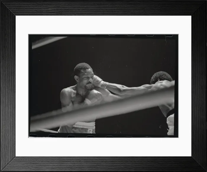 Framed Print : Curtis Cokes in Trouble on Ropes Framed Print : Curtis Cokes in Trouble on Ropes