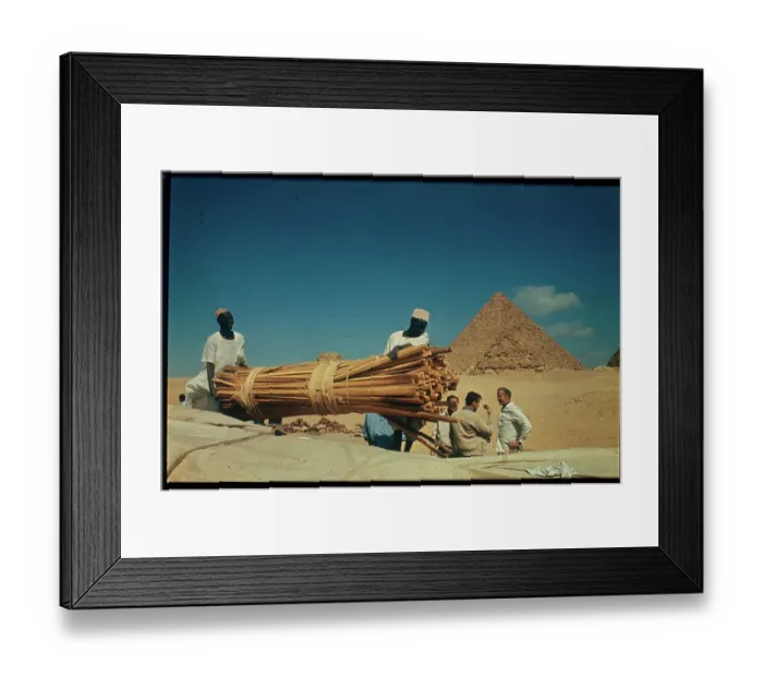 Framed Print : Workers Carrying Reeds For Construction Framed Print : Workers Carrying Reeds For Construction