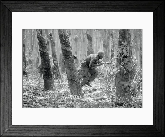 Framed Print : Soldier Moving Among Rubber Tress Framed Print : Soldier Moving Among Rubber Tress