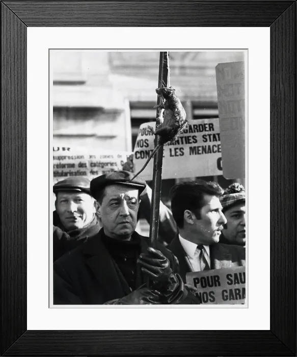 Framed Print : Sewer Worker Holds Rat on Stick in March Framed Print : Sewer Worker Holds Rat on Stick in March