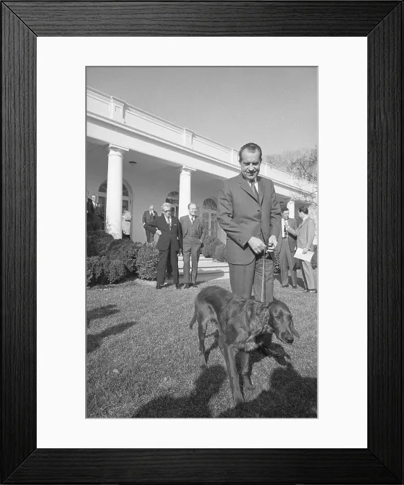 Framed Print : Richard Nixon Walking Dog Framed Print : Richard Nixon Walking Dog