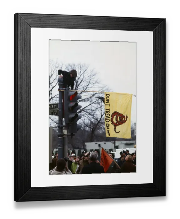 Framed Print : Marchers Protesting Inauguration Framed Print : Marchers Protesting Inauguration