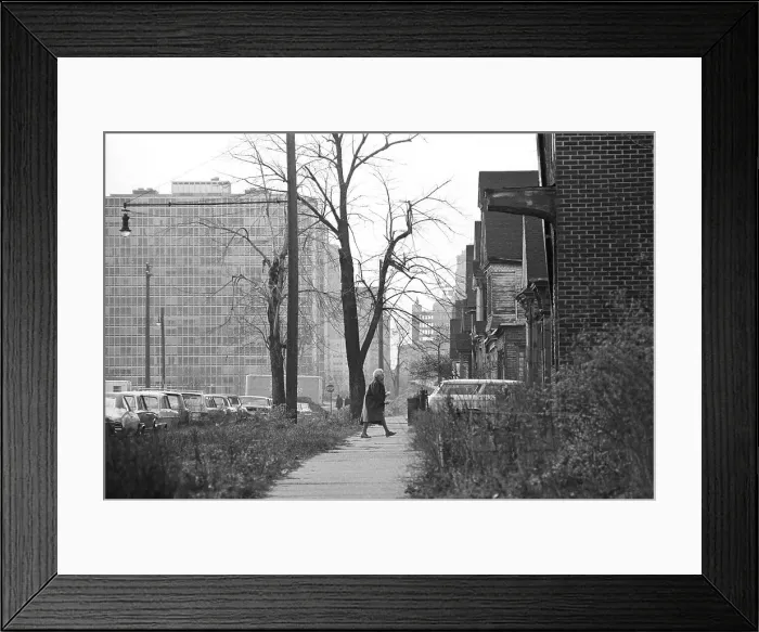 Framed Print : Detroit Slums Framed Print : Detroit Slums