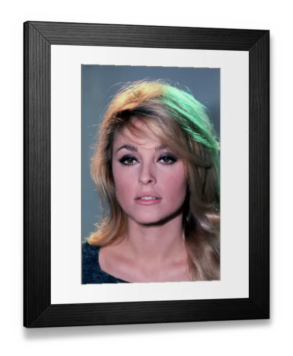 Framed Print : Sharon Tate Framed Print : Sharon Tate