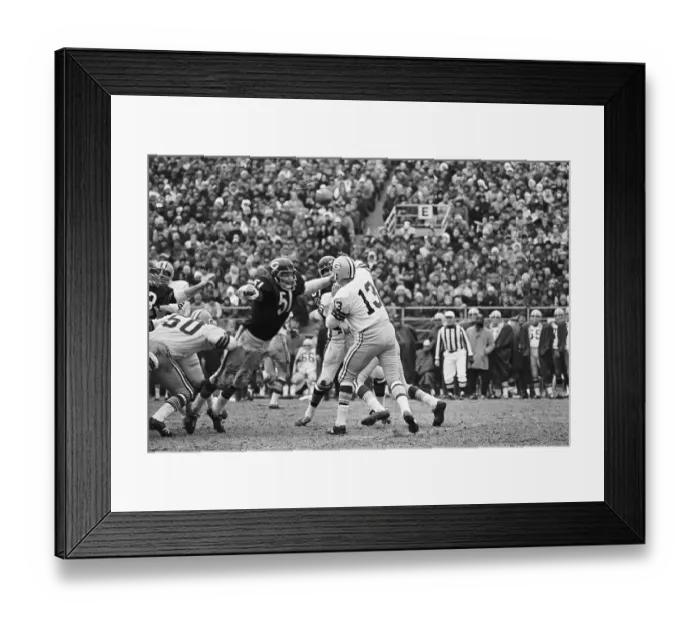Framed Print : Dick Butkus Tackling Quarterback Don Horn Framed Print : Dick Butkus Tackling Quarterback Don Horn