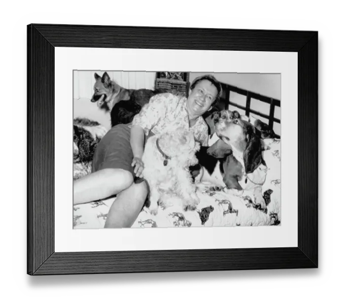 Framed Print : Dog Family Framed Print : Dog Family